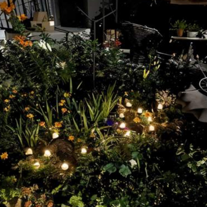 Magische Paddenstoelen Verlichting Solar Tuinlamp