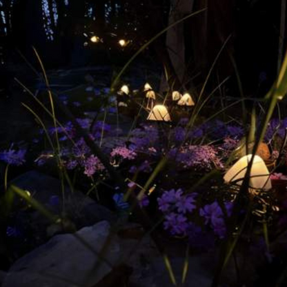 Magische Paddenstoelen Verlichting Solar Tuinlamp