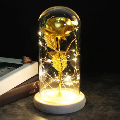 LED Lamp Roos Glas Koepel Decoratief Cadeau Verlichting