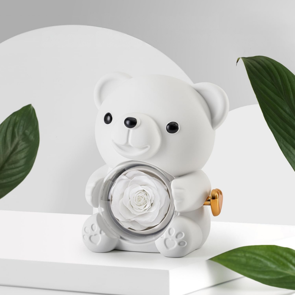 Cadeau Romantische Teddy Eeuwige Roos Sieraad