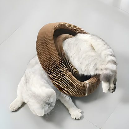 Kattenspeelgoed Krabkarton Speelcirkel Interactief Karton