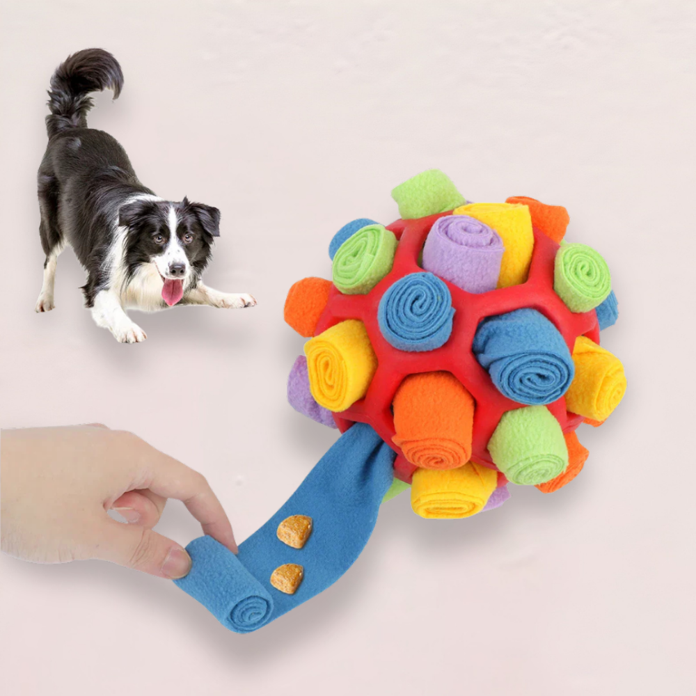 Snuffelspeelgoed Hond Interactief Denkspel Wasbaar