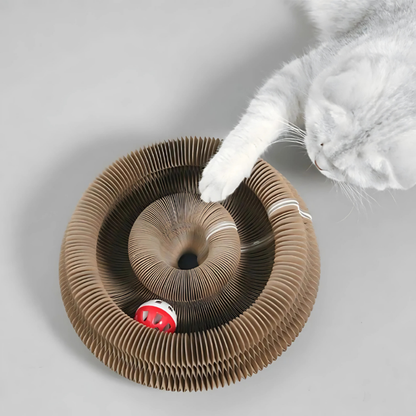 Kattenspeelgoed Krabkarton Speelcirkel Interactief Karton