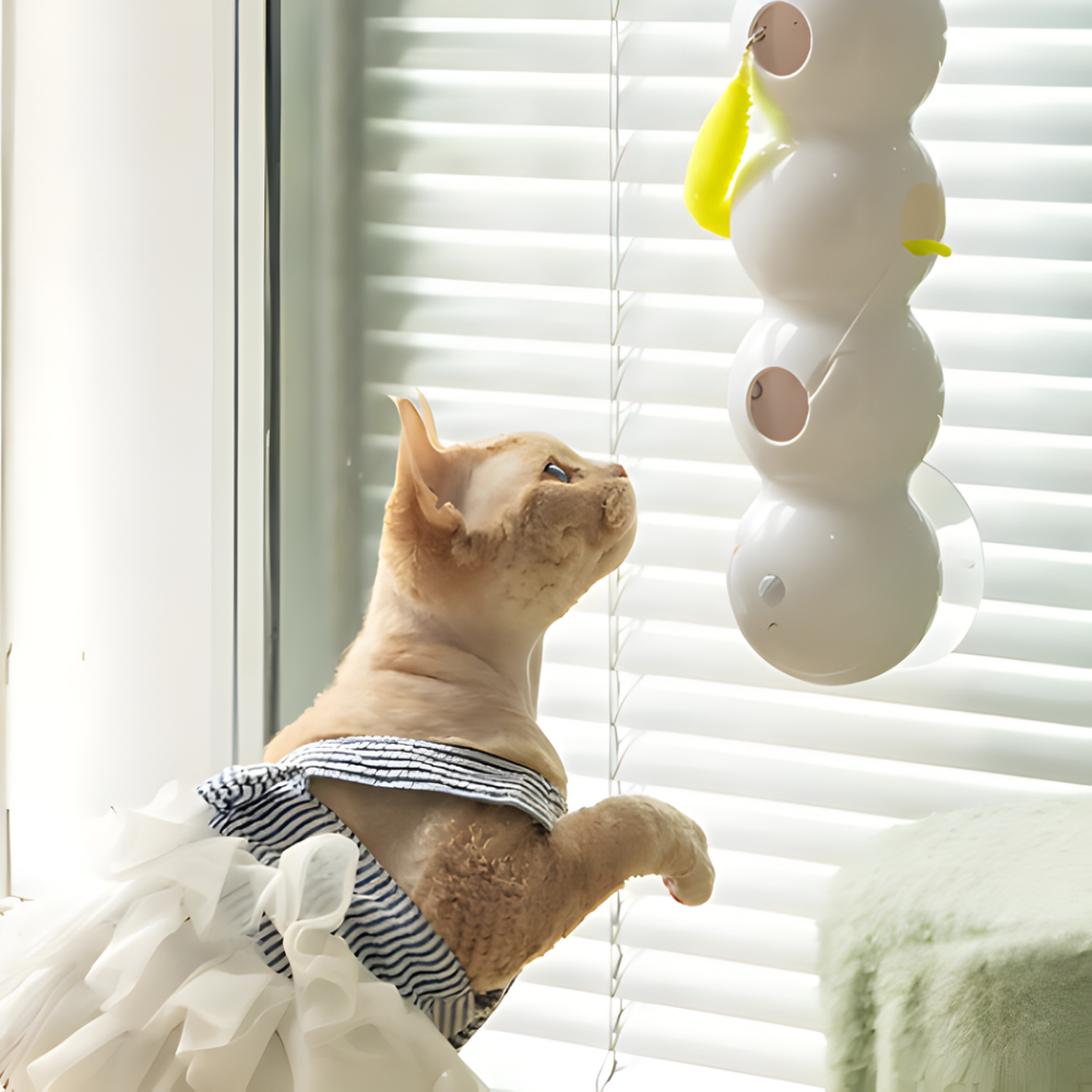 Kattenspeelgoed Interactief Raam Speeltje Bewegende Worm Kat