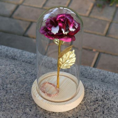 Tafellamp Glas LED Decoratief Houten Voet Cadeau