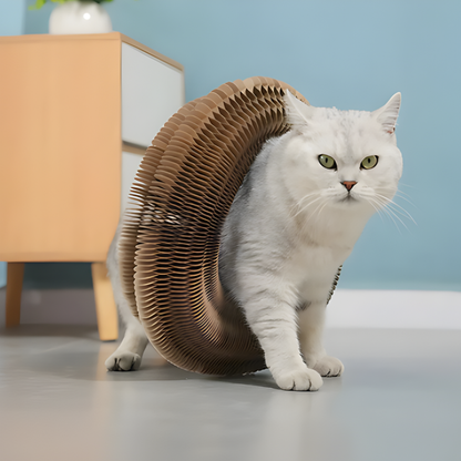 Kattenspeelgoed Krabkarton Speelcirkel Interactief Karton