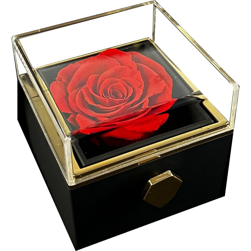 Sieradendoos Valentijnsdag Geschenkdoos Eeuwige Roos Ketting