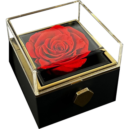 Sieradendoos Valentijnsdag Geschenkdoos Eeuwige Roos Ketting