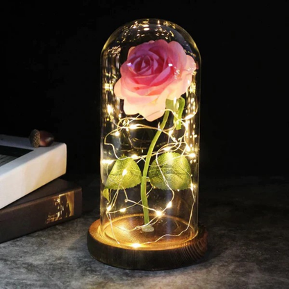 LED Lamp Roos Glas Koepel Decoratief Cadeau Verlichting