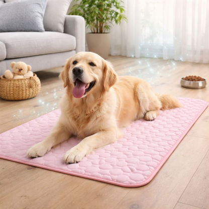 Honden Koelmat Zelfkoelend Comfort Kussen Tegen Hitte