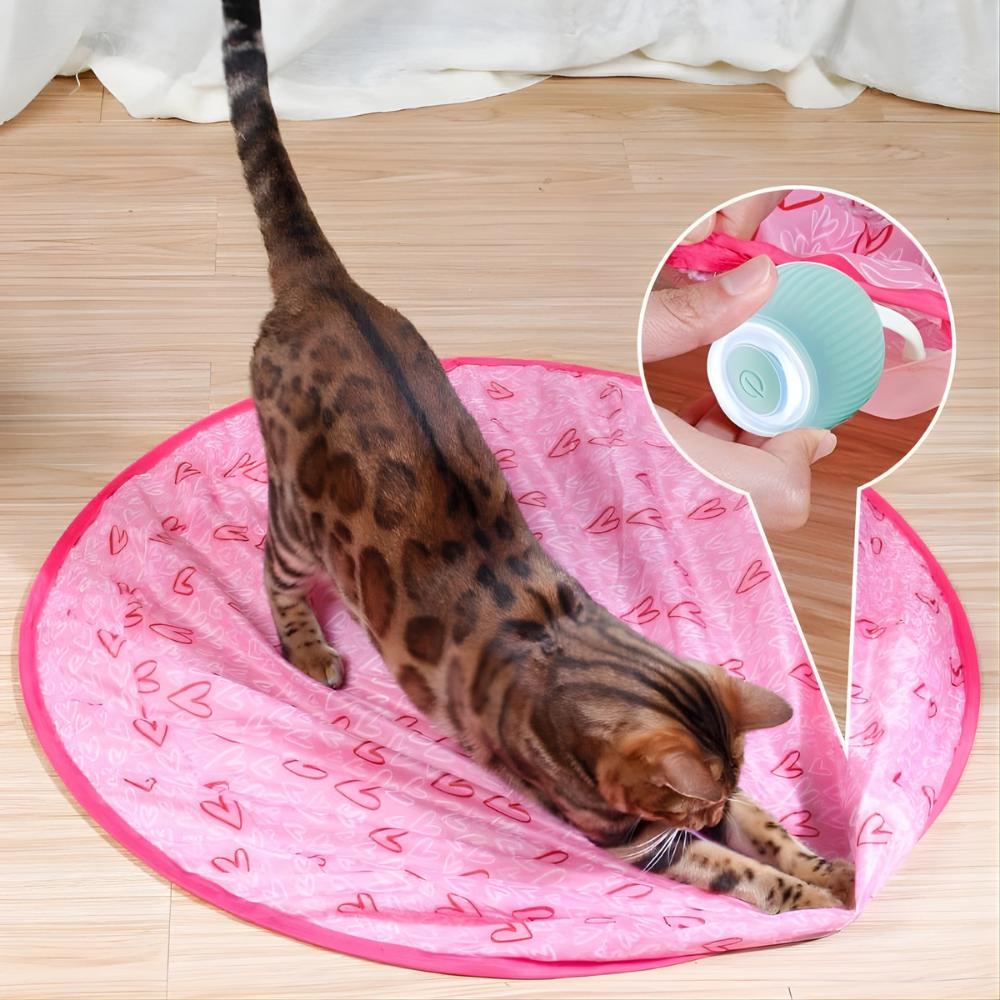 Kattenspeelgoed Interactieve Automatische Rollende Bal