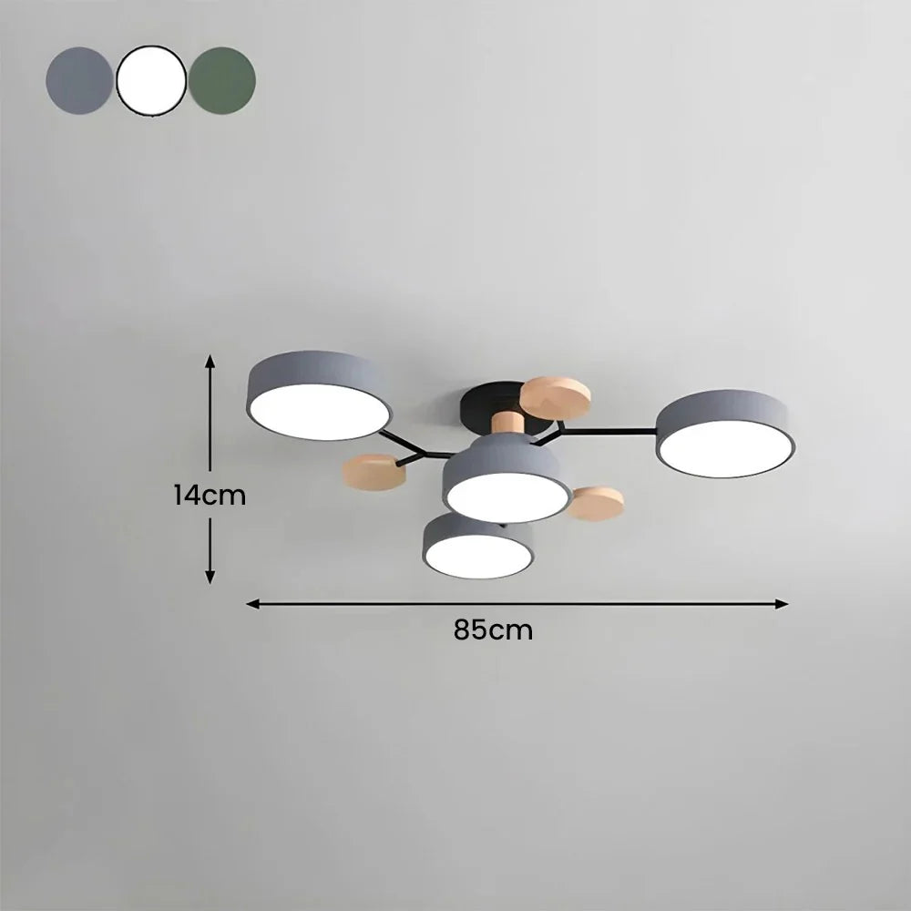 Hedendaagse Ronde IJzeren LED Plafondkroonluchter